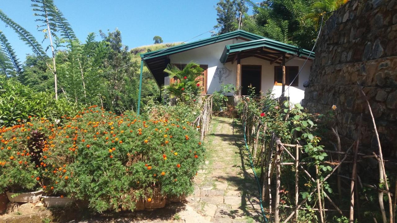Artist Cottage Хапутале Экстерьер фото